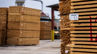 Fotografía de más Palets