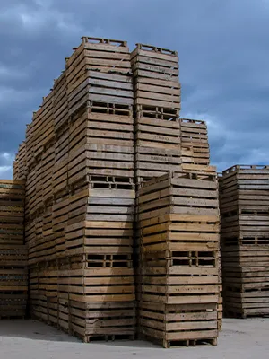 imagen con referencia a los productos Ecopallert